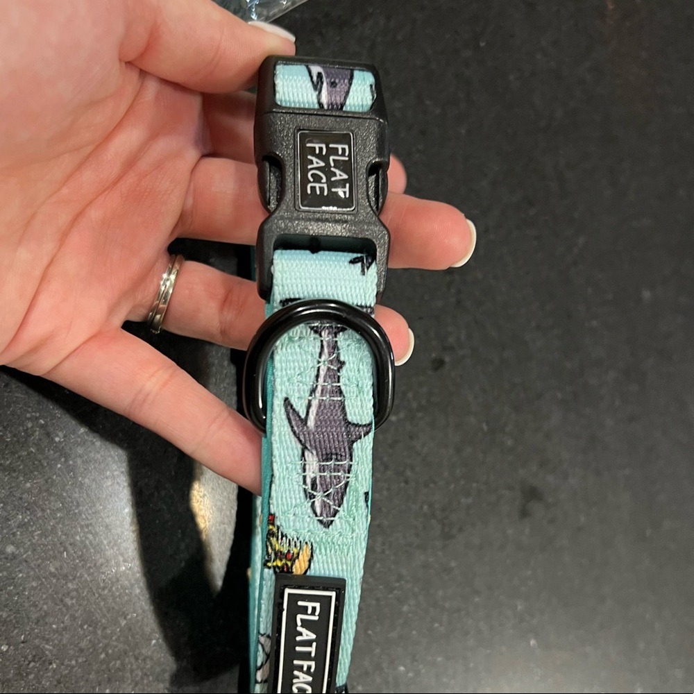 Shark with pizzas collar and leash set.